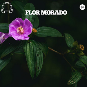 flor morado by StevPay
