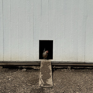 Phantom by The Indiana Drones