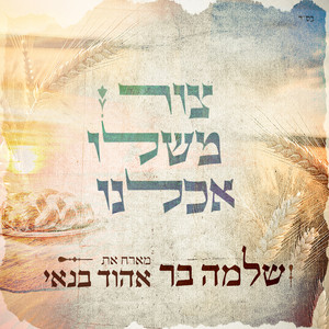 צור משלו אכלנו by Shlomo Bar, Ehud Banai