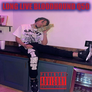 BloodHound Q50 Forever by Tus