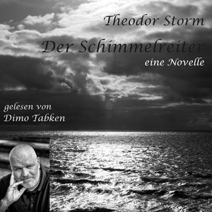 Der Schimmelreiter (Eine Novelle)