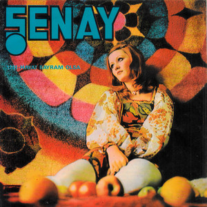 Şenay poster