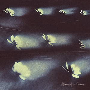 Memory of an Embrace by Nick Box