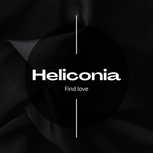 Silent night by Heliconia