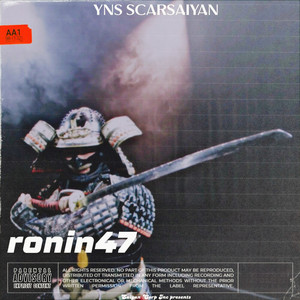 Portada de Ronin47