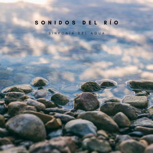 Sonidos Del Río: Sinfonía Del Agua album