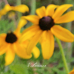 Vibrance by Nylon & Cedar