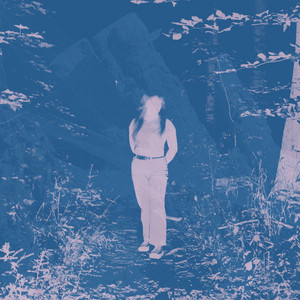The Forest by Everything For Nothing