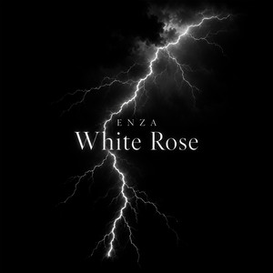 White Rose by ENZA