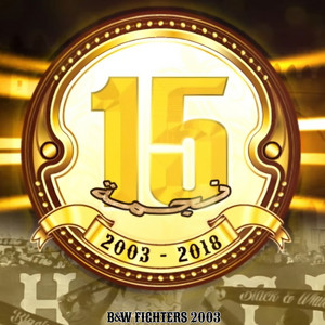 B&W FIGHTERS 2003 - 15 نجمة
