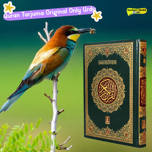 Sheikh Shuraim - 28 Para