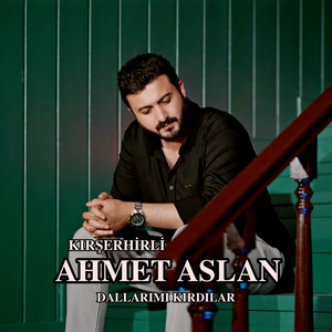 Dallarımı Kırdılar
