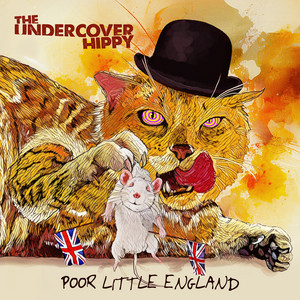Hey Boy by The Undercover Hippy