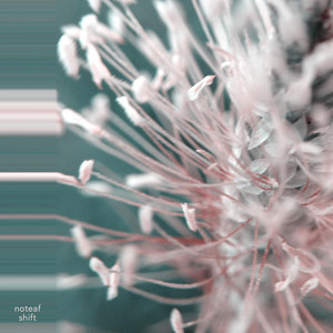 noteaf — Shift