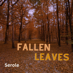 Fallen Leaves by Serole