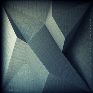 Coils by Maral Salmassi, d_func.