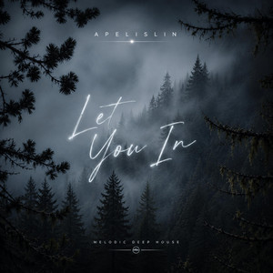 Let You In by Apelislin