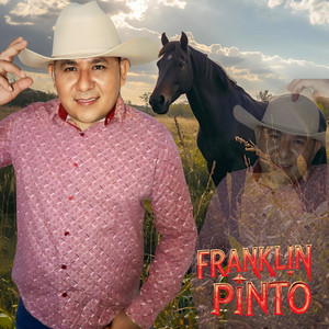 Dichos y Realidades by Franklin Pinto