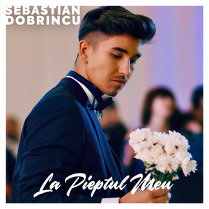 Sebastian Dobrincu - La Pieptul Meu