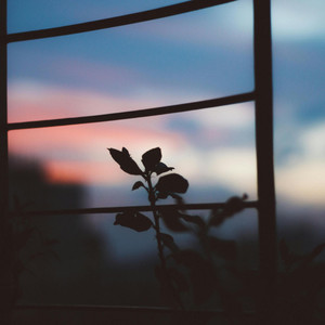 Would You by Ty