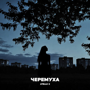 Черёмуха by Atello X