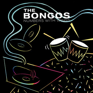 Numbers With Wings by The Bongos