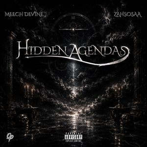 Hidden Agendas by Meech Devine, Zahsosaa