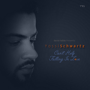 Yossi Schwartz - Can't Help Falling