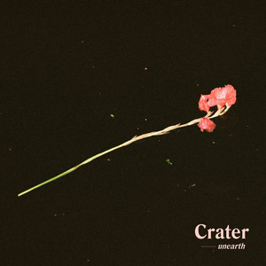 Bluets by Crater