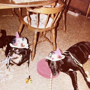 I Don't Get Easier by Little Gracie