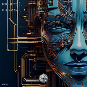 The Beginning by Bodhi Adityo