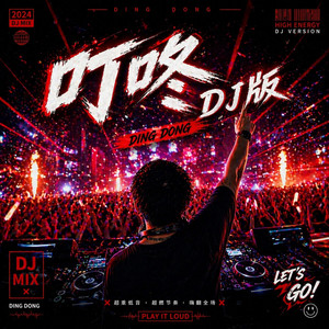 叮咚(DJ版) by 野生分贝