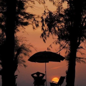 Shanelle favour - Emotions