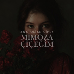 Mimoza Çiçeğim by Anatolian Gipsy