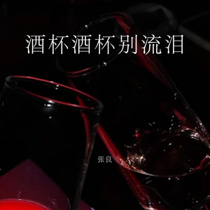 酒杯酒杯别流泪 by 张良