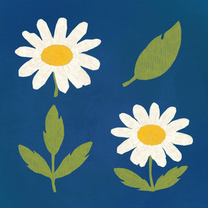 Enzo Corne - chamomile waltz