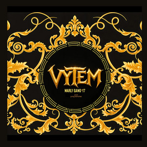 Vytem