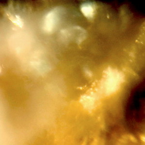 Dune Drop by Sub Sequence