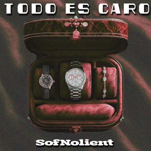 Todo Es Caro by SofNolient