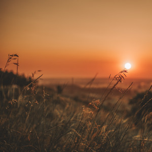Cadu Edu - Manhã de Sol