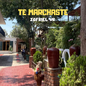 Te Marchaste by Zafriel VR