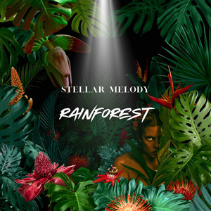 Rainforest by Stellar Melody