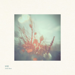 Vide by Emile Mont