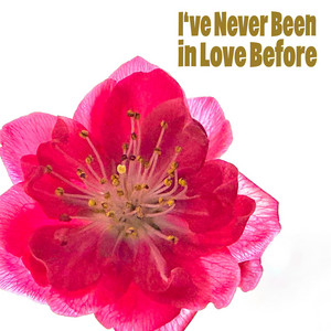 I've Never Been in Love Before by Mulo Francel, Tim Collins