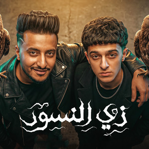 زي النسور by Ahmed El Dogary, Samer Elmedany