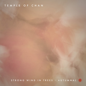 Strong Wind in Trees - Autumnal by Temple of Chan