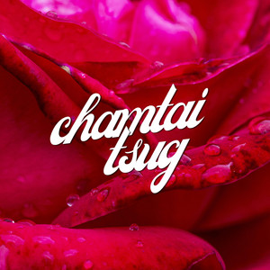 k4ta - Chamtai tsug