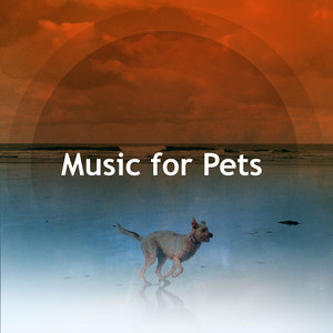 Music for Pets