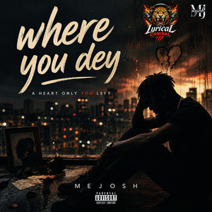 Where you dey by MeJosh