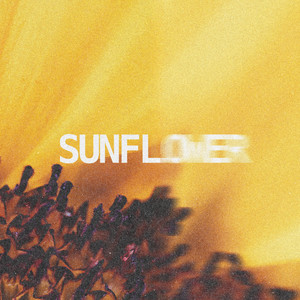 Sunflower by Melangerie
